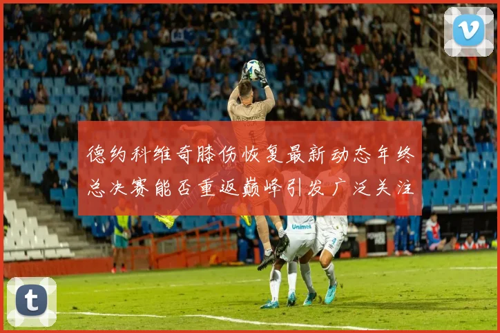 德约科维奇膝伤恢复最新动态年终总决赛能否重返巅峰引发广泛关注